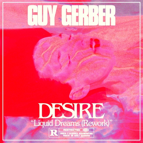 Guy Gerber, Desire - Liquid Dreams (Guy Gerber Rework) [196429100268]